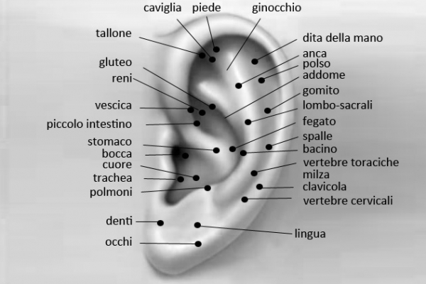 Auricoloterapia